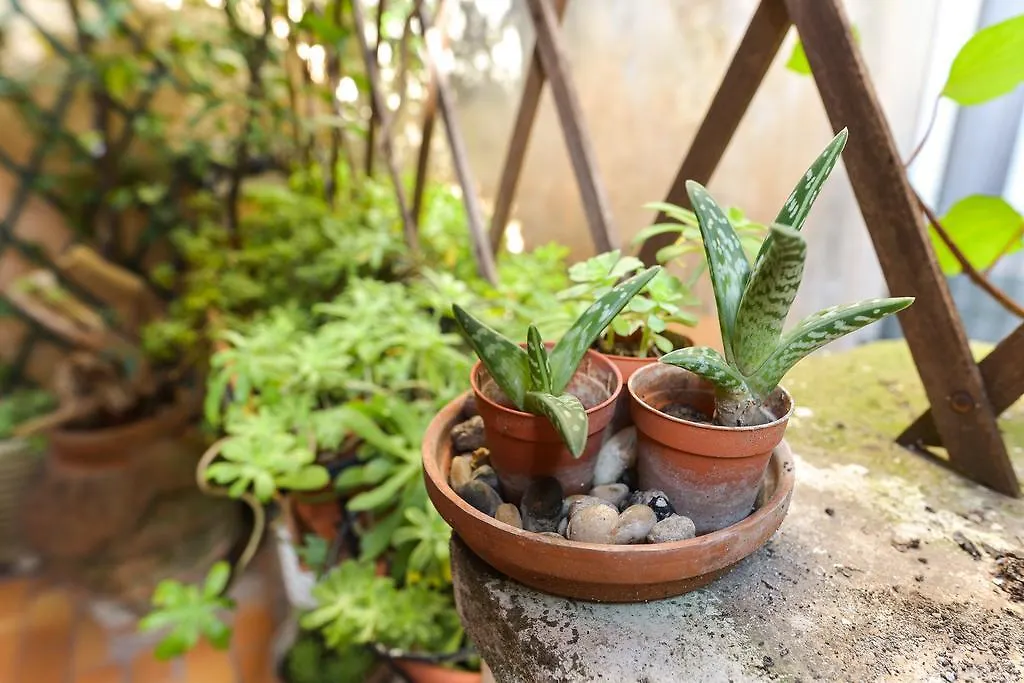 Malva Appartement Rome